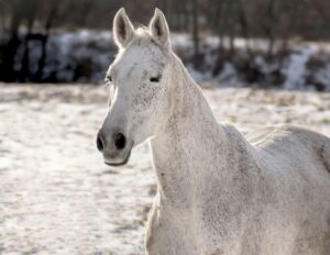駆血帯強さを正しく理解するための基礎知識は？