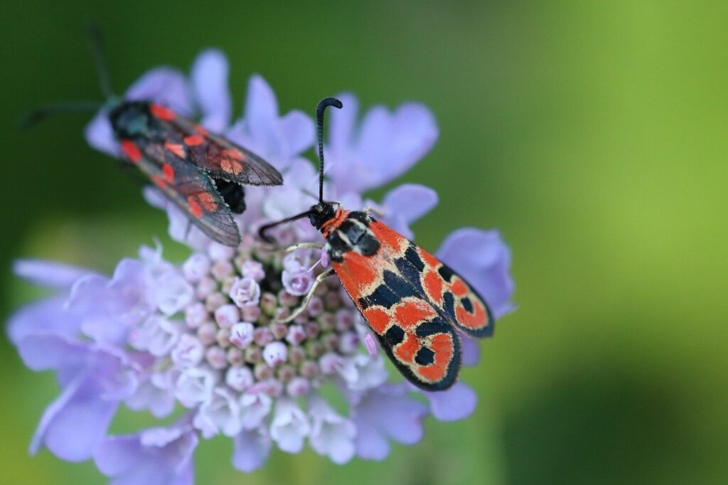 駆血帯の巻き方で知っておくべき基本テクニックは？
