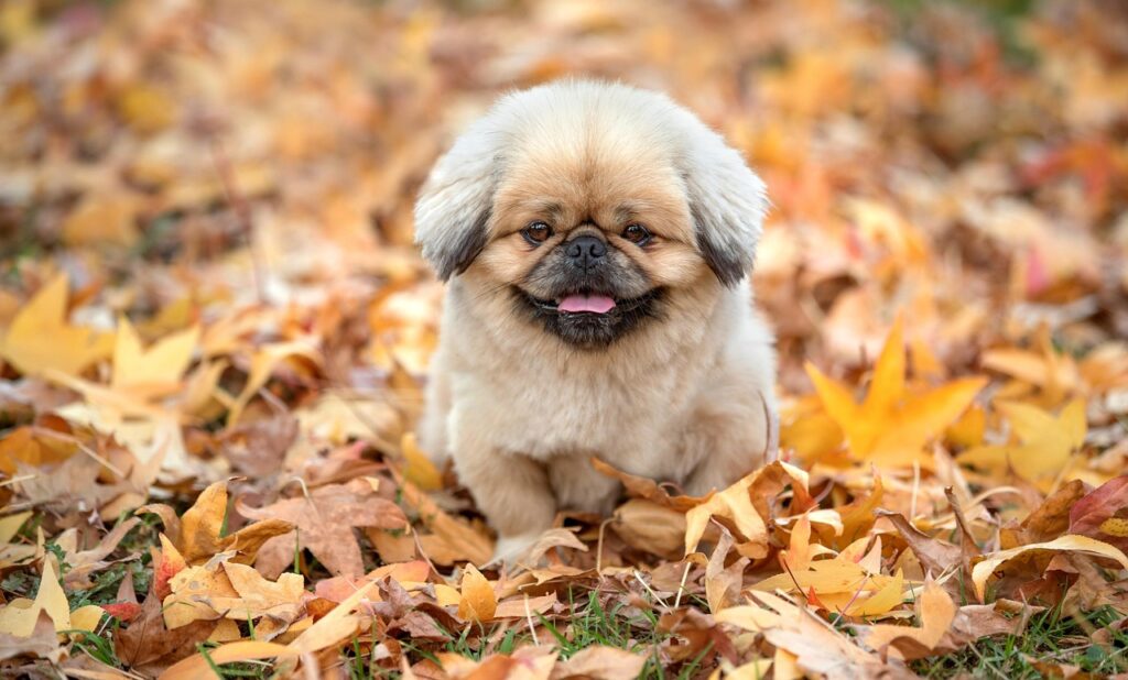 ナースシューズは新人は何足必要か徹底解説しますか？