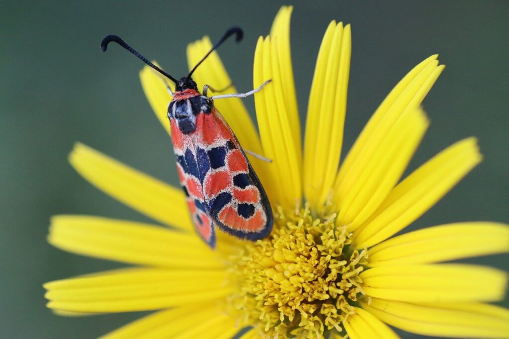 駆血帯の収納方法とおすすめアイテムは？