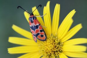 駆血帯の収納方法とおすすめアイテムは？