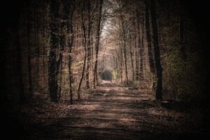 音が静かなナースウォッチは本当にあるのか？