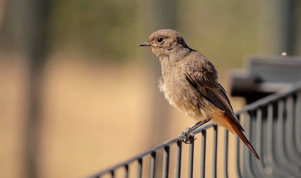 夜勤終了後におすすめの休息アイテムは？