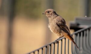 夜勤終了後におすすめの休息アイテムは？
