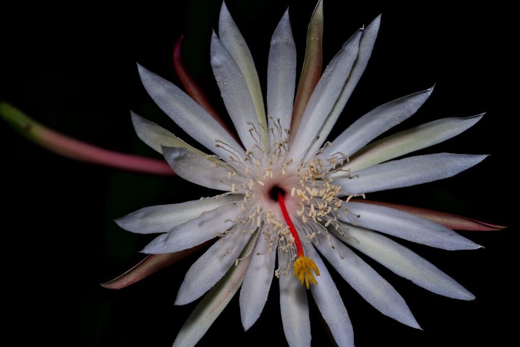 パルスオキシメーターの看護師による使い方は？