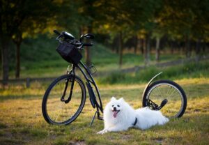 ナースリーのペンをなくさないための工夫とは？