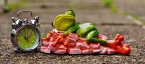 ナースリーのセールはいつが安い？