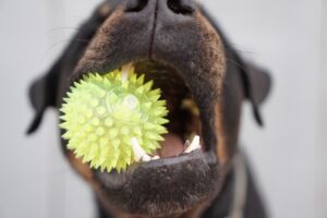 ナースリーの業務効率化に役立つグッズは看護師に本当に効果的？