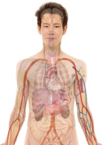 看護学生が実習で使うナースリーグッズ一覧はこれだ！？