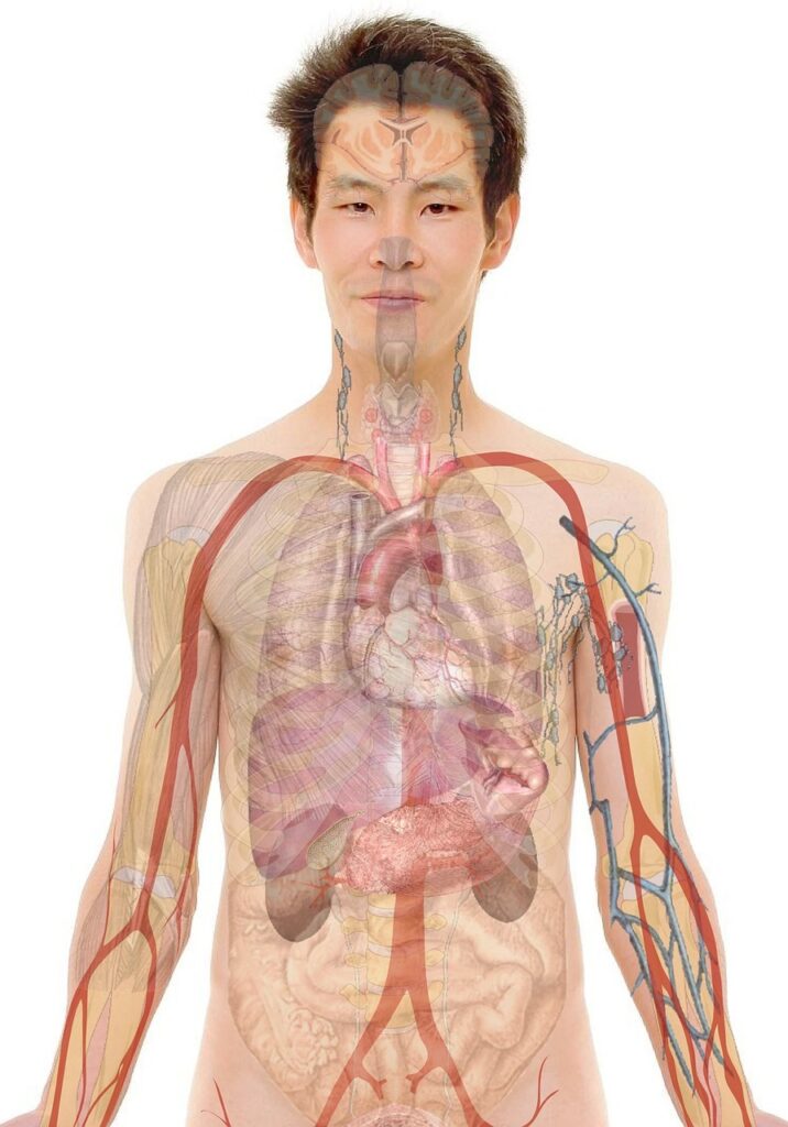 看護学生が実習で使うナースリーグッズ一覧はこれだ！？