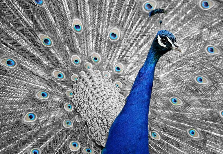 ナースリーのレビューはどれが参考になる？
